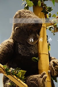 信用卡逾期天天提心吊胆 信用卡逾期天天提心吊胆
