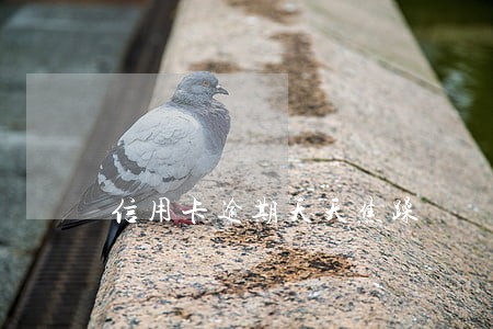 信用卡逾期天天焦躁 信用卡逾期天天焦躁