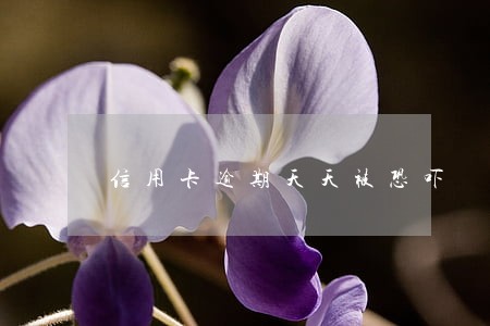 信用卡逾期天天被恐吓