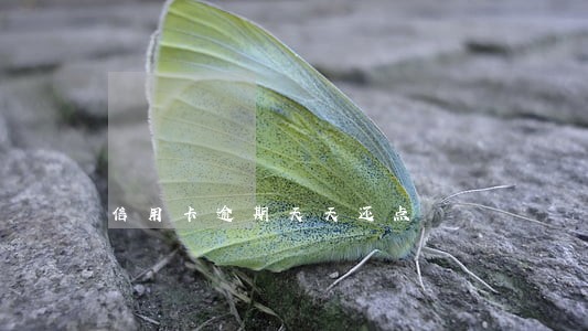 信用卡逾期天天还点 信用卡逾期天天还点