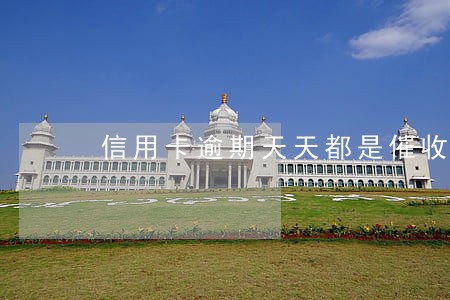 信用卡逾期天天都是催收电话 信用卡逾期天天都是催收电话