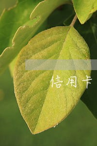 信用卡逾期天天骚扰怎么办
