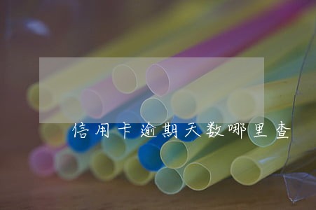 信用卡逾期天数哪里查 信用卡逾期天数哪里查