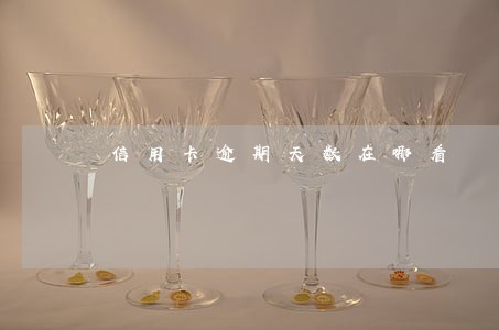 信用卡逾期天数在哪看 信用卡逾期天数在哪看