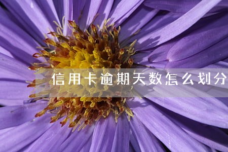 信用卡逾期天数怎么划分等级 信用卡逾期天数怎么划分等级