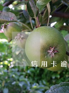 信用卡逾期天数怎么计算的 信用卡逾期天数怎么计算的