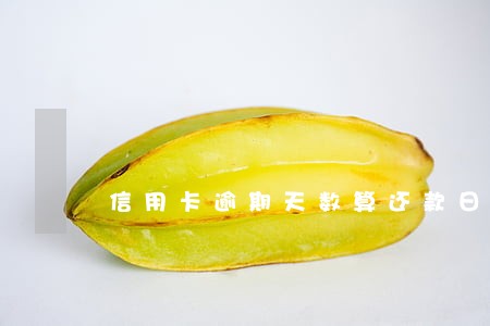 信用卡逾期天数算还款日当天吗 信用卡逾期天数算还款日当天吗