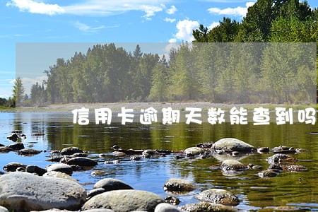 信用卡逾期天数能查到吗