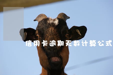 信用卡逾期天数计算公式