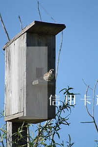 信用卡逾期太久不能用了 信用卡逾期太久不能用了