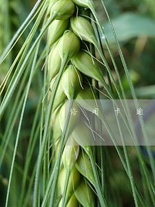 信用卡逾期太久会怎样 信用卡逾期太久会怎样