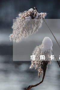 信用卡逾期太久会被注销吗 信用卡逾期太久会被注销吗