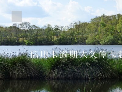 信用卡逾期太久停卡怎么还钱 信用卡逾期太久停卡怎么还钱