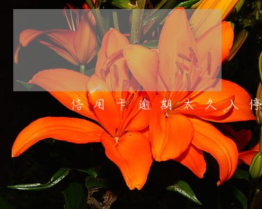 信用卡逾期太久入停卡部门 信用卡逾期太久入停卡部门