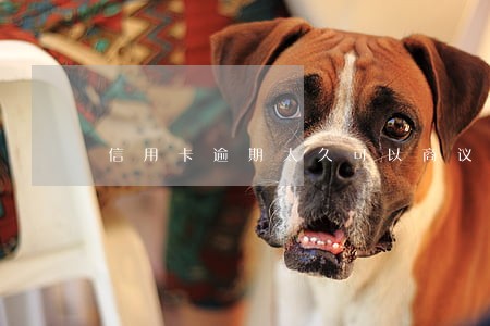 信用卡逾期太久可以商议还款 信用卡逾期太久可以商议还款