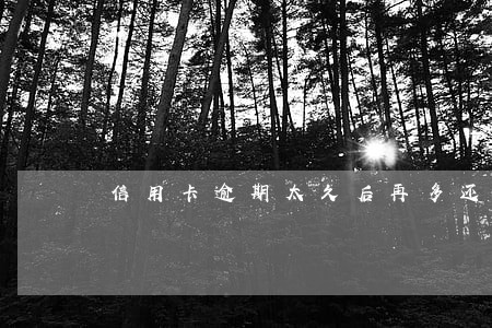 信用卡逾期太久后再多还多少 信用卡逾期太久后再多还多少
