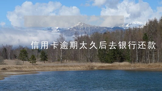 信用卡逾期太久后去银行还款 信用卡逾期太久后去银行还款