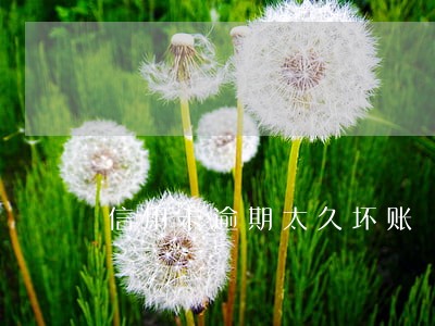 信用卡逾期太久坏账