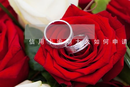 信用卡逾期太久如何申请减免 信用卡逾期太久如何申请减免