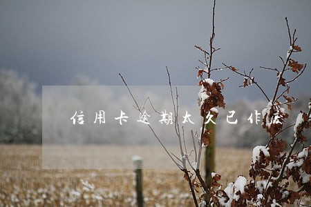 信用卡逾期太久已作废