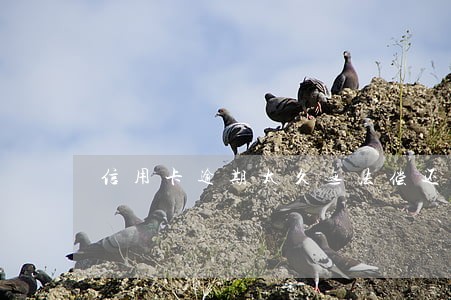 信用卡逾期太久无法偿还
