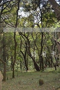 信用卡逾期太久最后要还找谁 信用卡逾期太久最后要还找谁