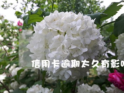 信用卡逾期太久有影响吗