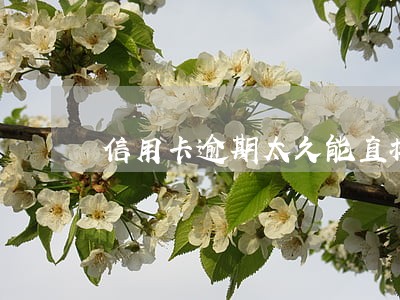 信用卡逾期太久能直接转账吗 信用卡逾期太久能直接转账吗