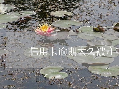 信用卡逾期太久被注销