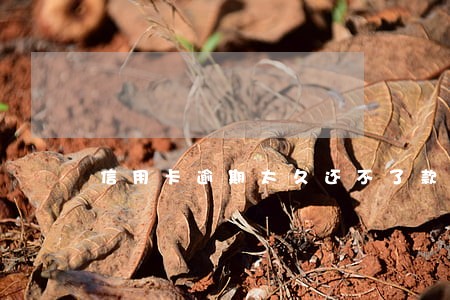 信用卡逾期太久还不了款 信用卡逾期太久还不了款