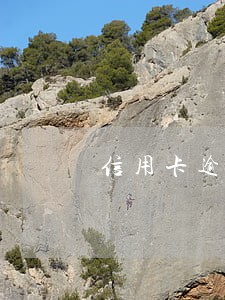 信用卡逾期太久还清多久可以用 信用卡逾期太久还清多久可以用
