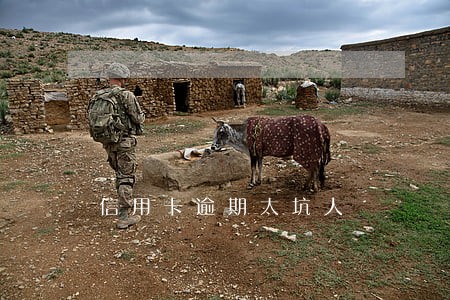 信用卡逾期太坑人 信用卡逾期太坑人