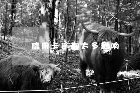信用卡逾期太多影响 信用卡逾期太多影响