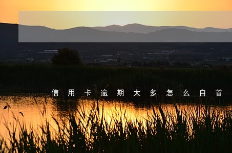 信用卡逾期太多怎么自首