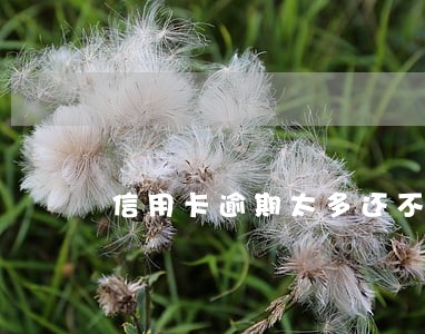 信用卡逾期太多还不起利息 信用卡逾期太多还不起利息