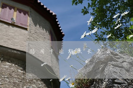 信用卡逾期太长怎么办 信用卡逾期太长怎么办