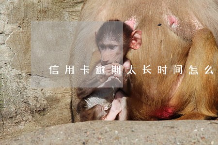信用卡逾期太长时间怎么办