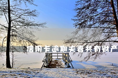 信用卡逾期夫妻共有财产