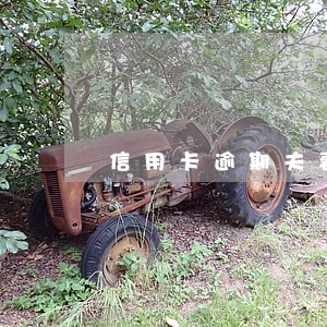信用卡逾期夫妻双方 信用卡逾期夫妻双方