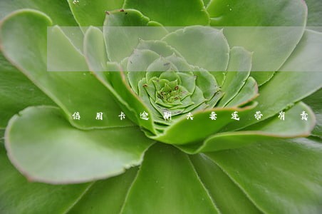 信用卡逾期夫妻连带有责任吗 信用卡逾期夫妻连带有责任吗