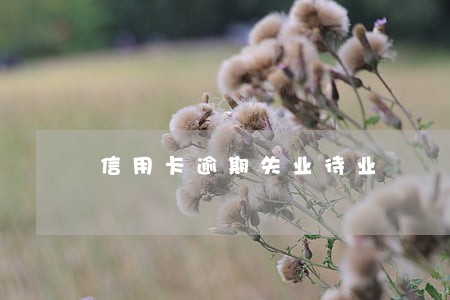 信用卡逾期失业待业 信用卡逾期失业待业
