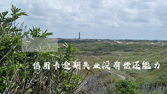 信用卡逾期失业没有偿还能力 信用卡逾期失业没有偿还能力