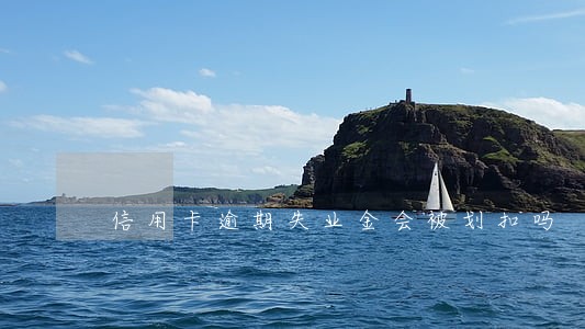 信用卡逾期失业金会被划扣吗 信用卡逾期失业金会被划扣吗