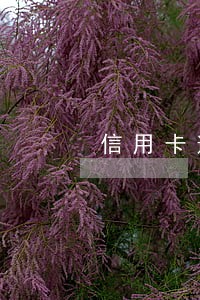 信用卡逾期失业金被划扣大连