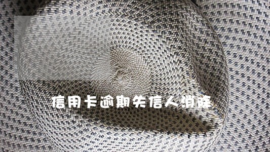 信用卡逾期失信人消除 信用卡逾期失信人消除