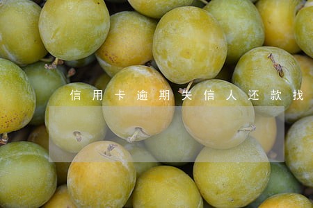 信用卡逾期失信人还款找谁 信用卡逾期失信人还款找谁