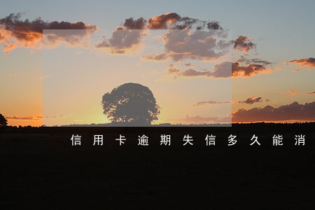 信用卡逾期失信多久能消除