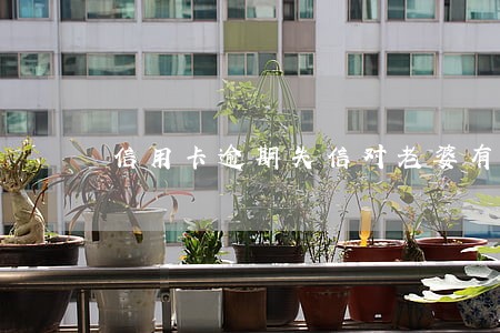 信用卡逾期失信对老婆有影响吗 信用卡逾期失信对老婆有影响吗