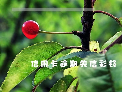 信用卡逾期失信彩铃