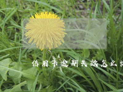 信用卡逾期失效怎么恢复